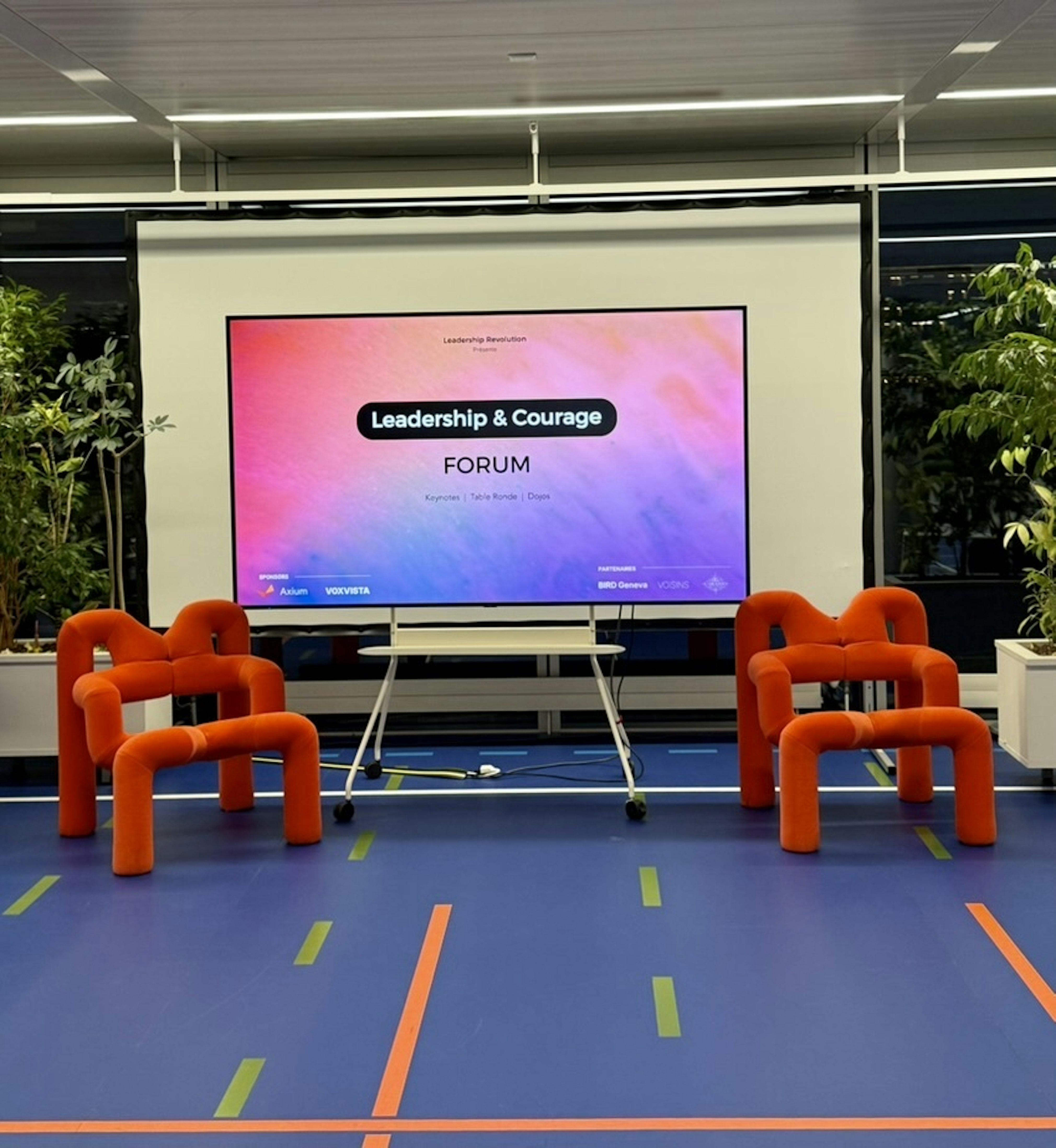 239 D9611 2399 42 F1 9 A97 2 CF74 A7 BD321 1 105 c