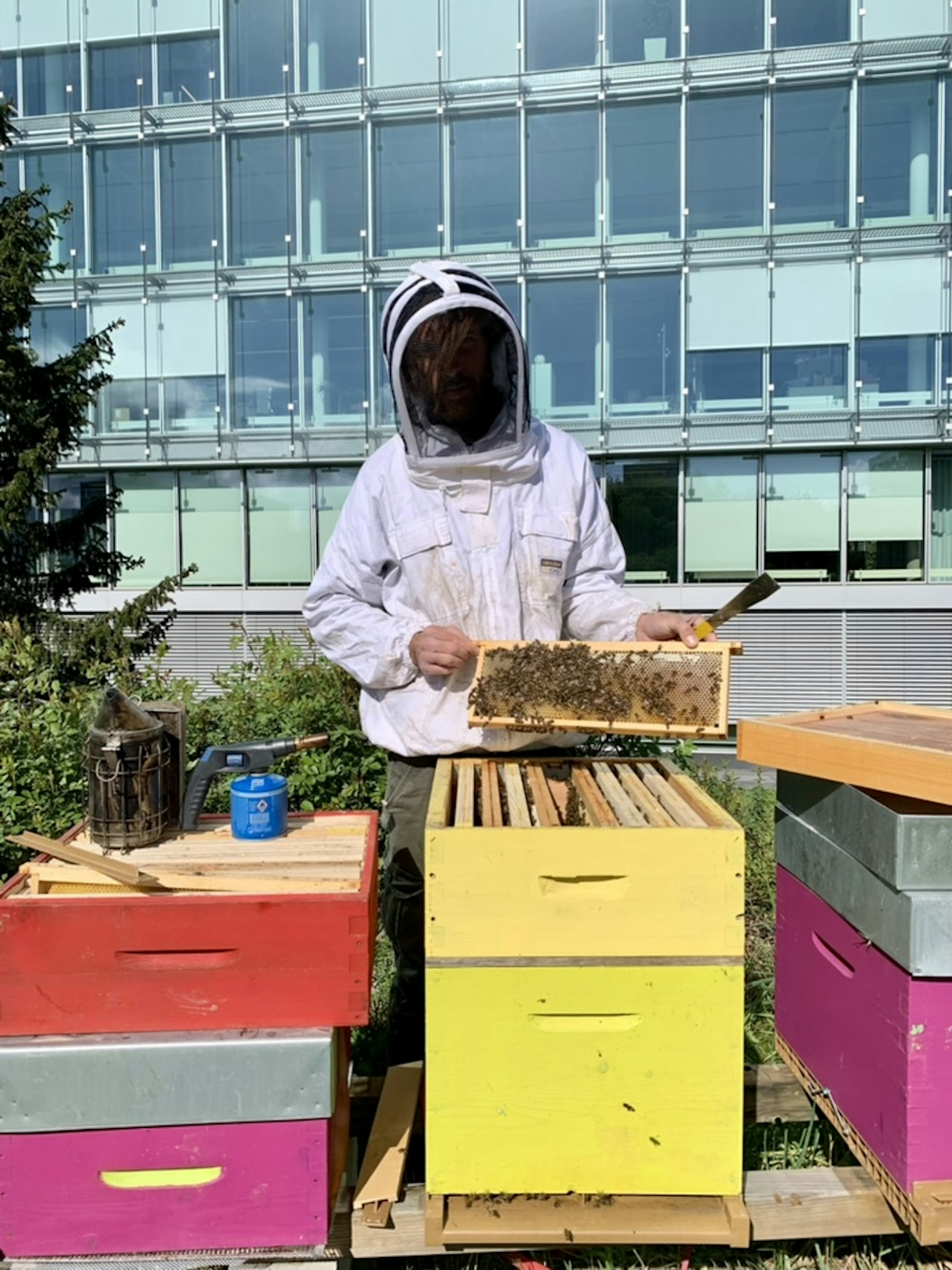 6466615 B 2492 45 AE A01 F E40 A6 AC8 BDF1 1 105 c