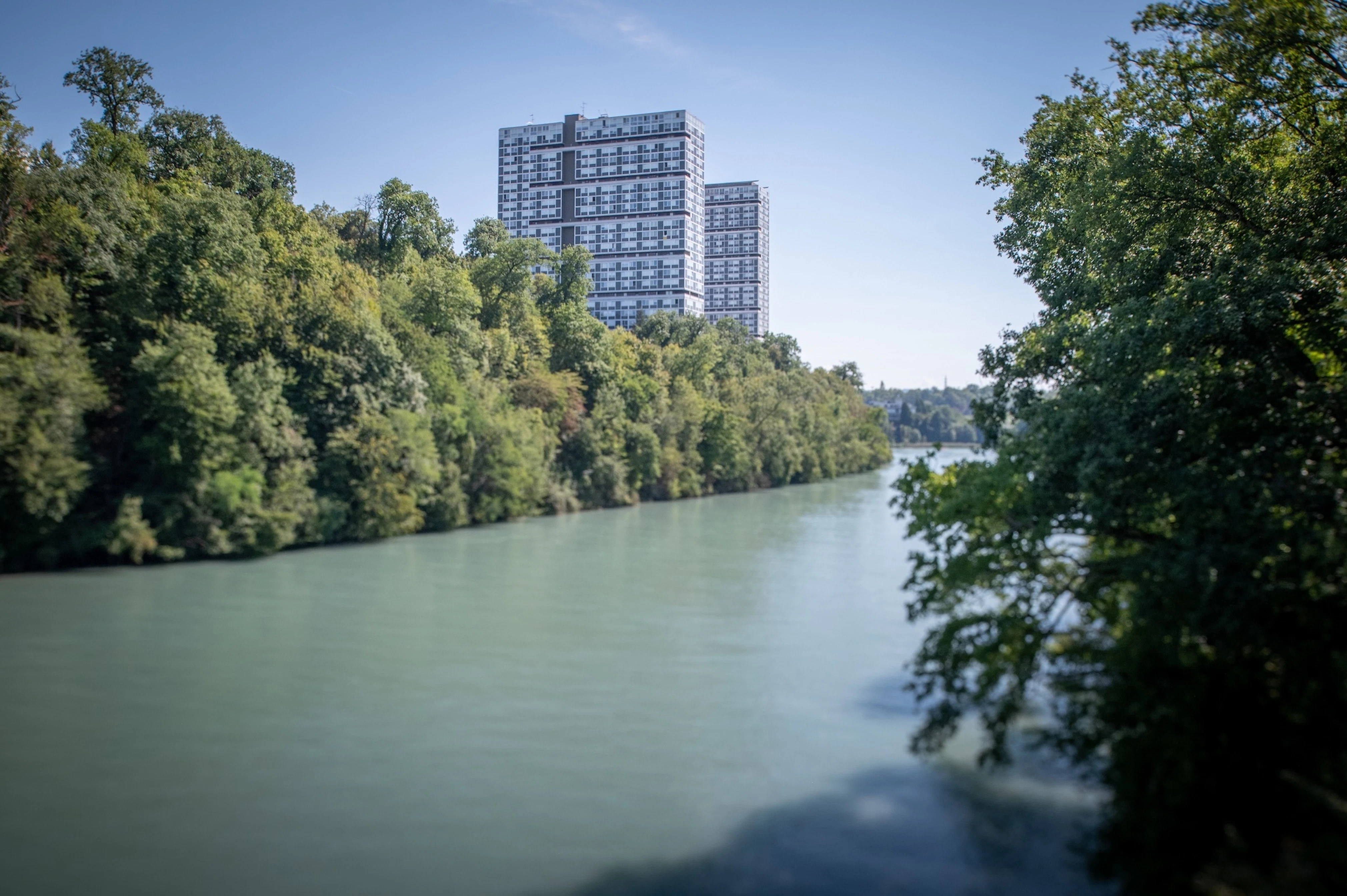 Bords du Rhône 2022 Nicolas Dupraz