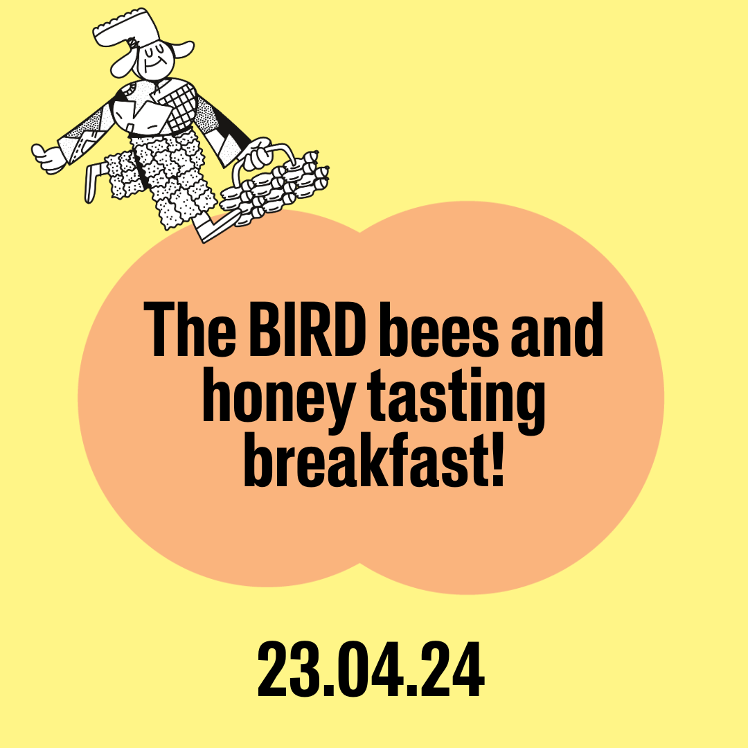 Format pour site BIRD 1