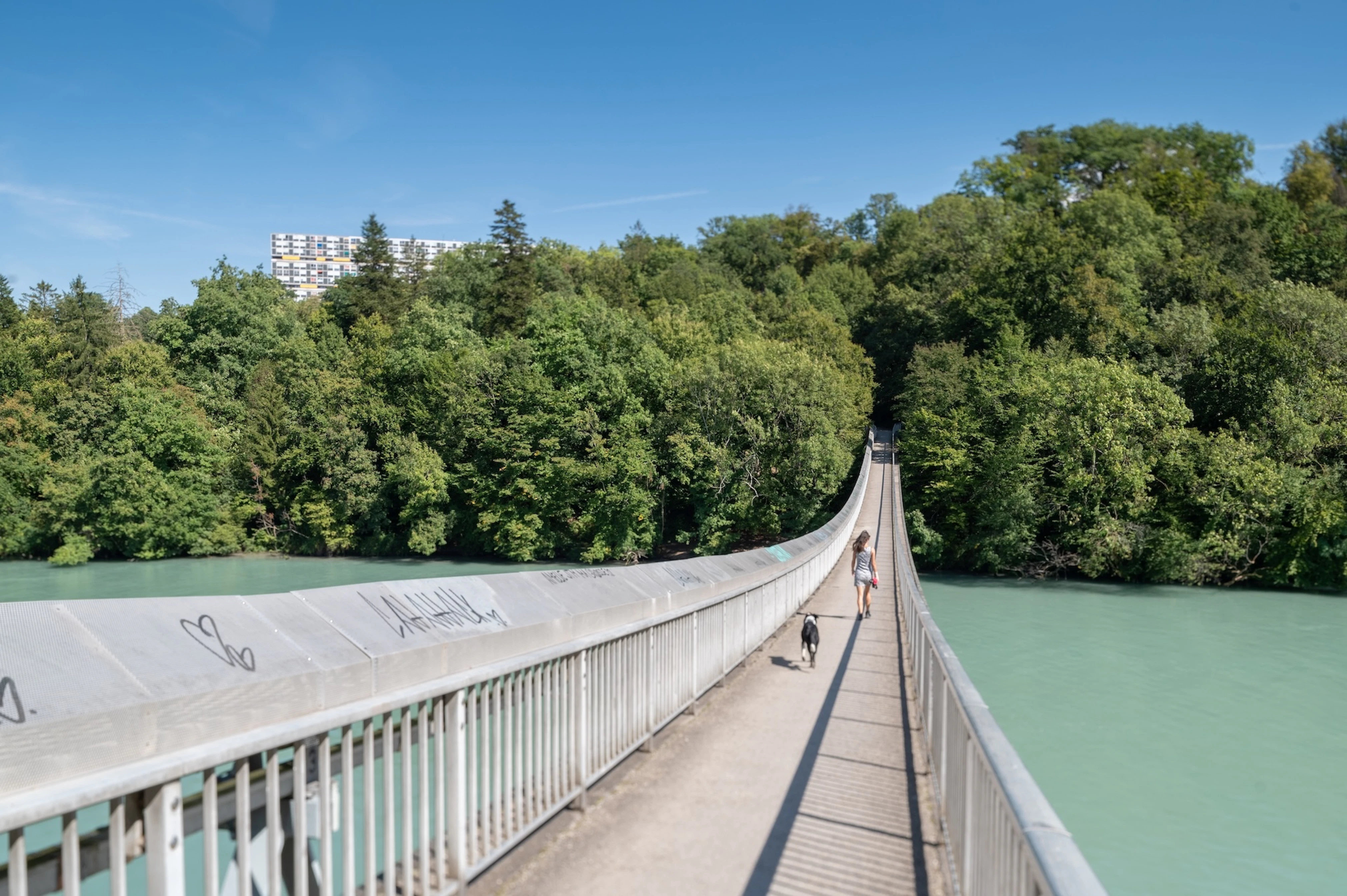 Passerelle du Lignon 2022 Nicolas Dupraz