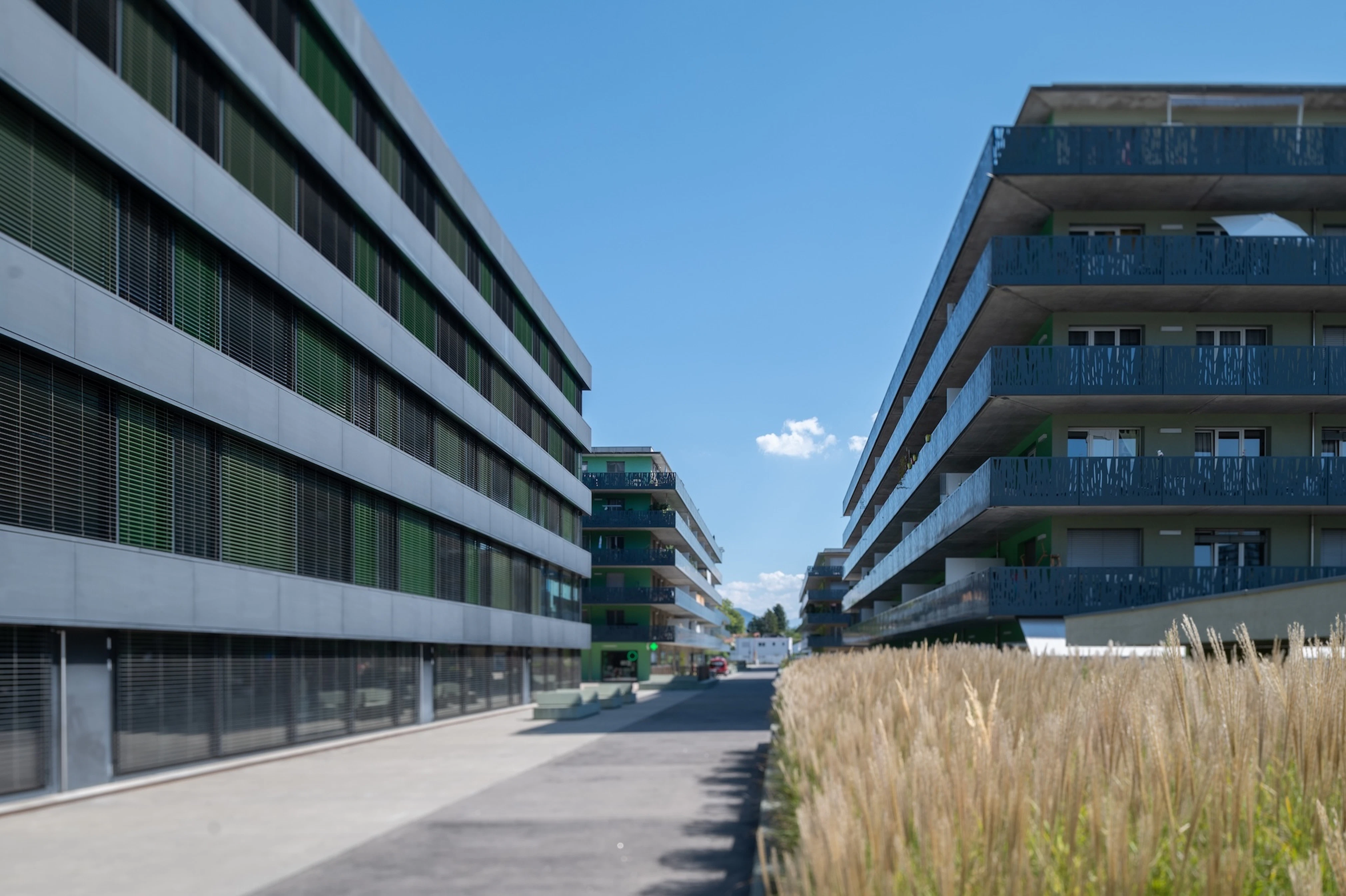 Quartier Gordon Bennet 2022 Nicolas Dupraz